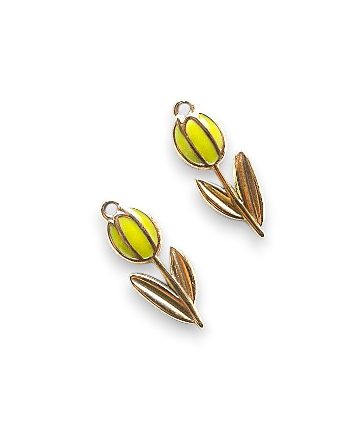 TULIPANO