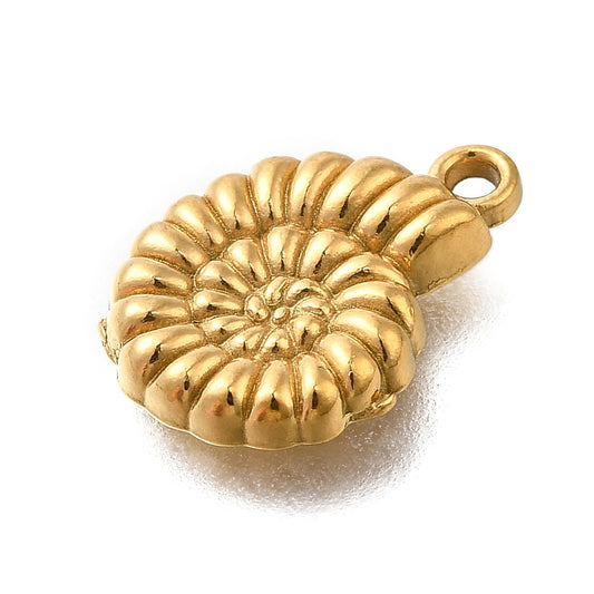 CONCHIGLIA